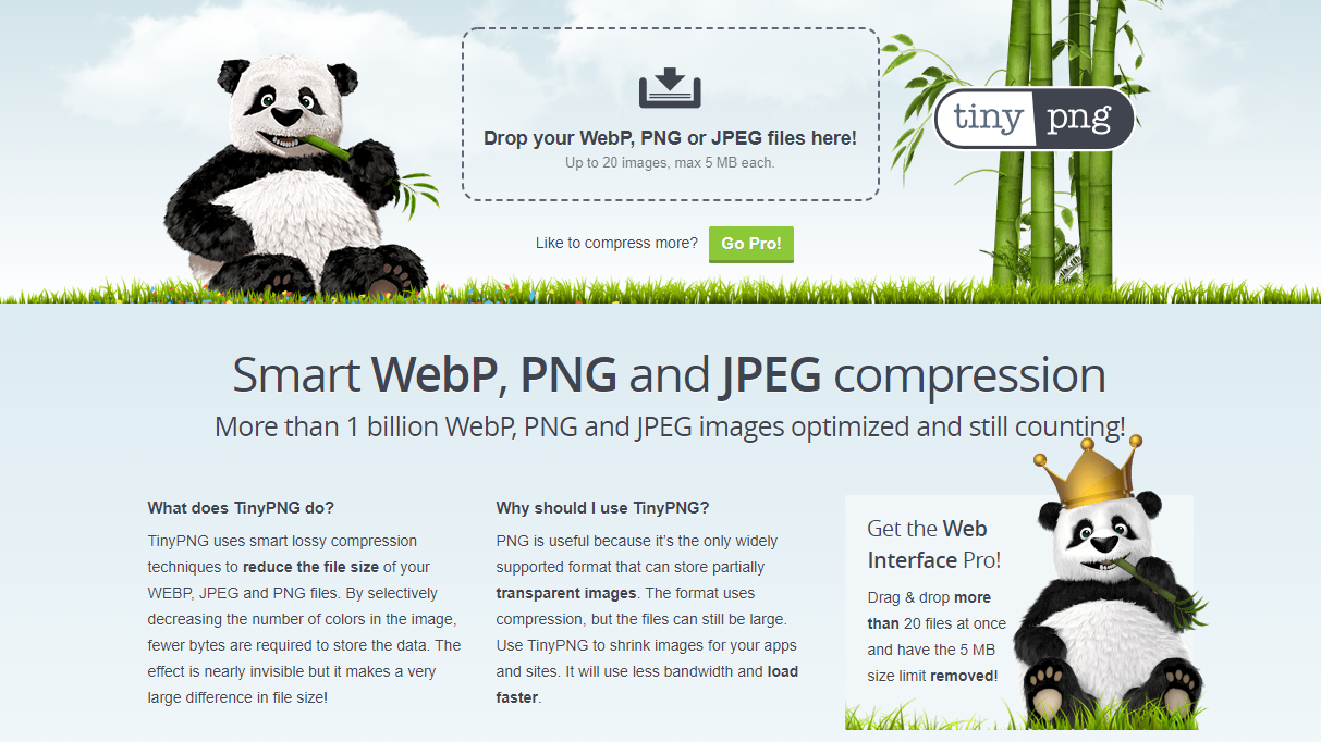 image-20220426141841735