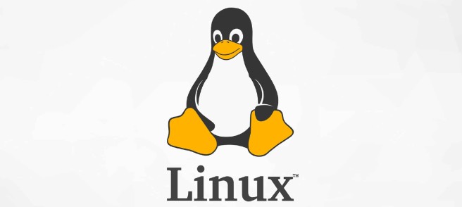 Ethan_2024-06-11_12-30-58